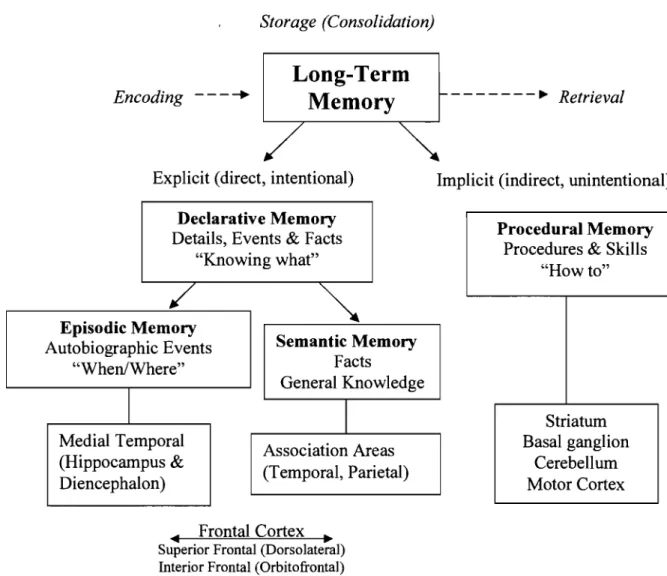 Figure  3.  This  figure  shows  the  multiple  memory  systems  associated  with the  brain  regions and subcortical regions involved in long-term memory