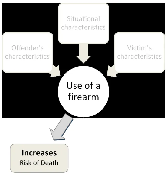 Figure 4: Effect of Firearms on Risk of Fatal Injury 