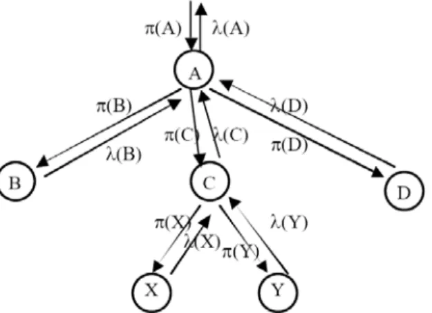 Fig. 1. Propagation des messages dans un fragment d'arbre  (source: Valdes &amp; Skinner, 2000) 