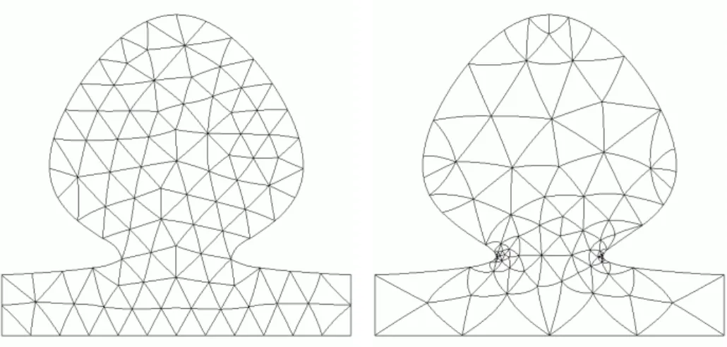Fig. 9 – À gauche, maillage uniforme P2 d’un domaine délimité par un poly- poly-nôme de degré 5