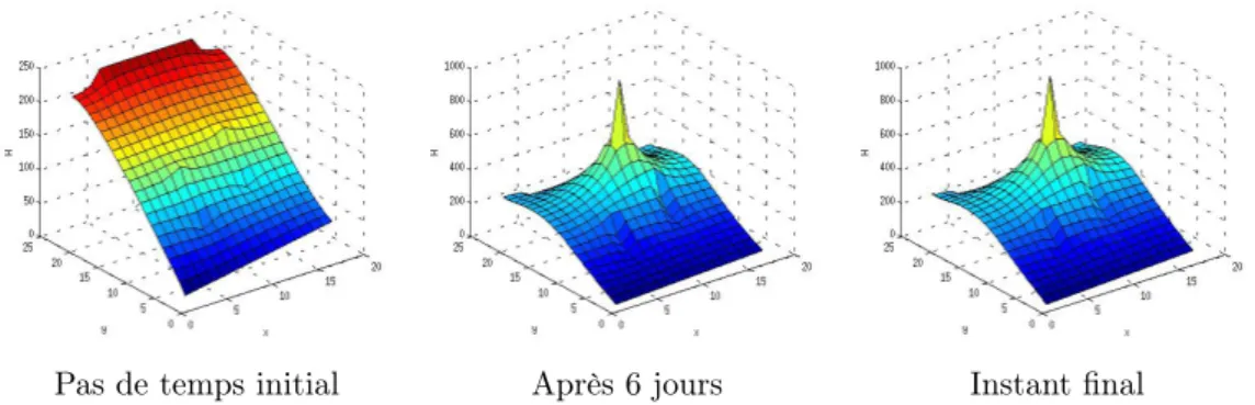 Figure 7 – Hauteurs piézométriques en 3 instants correspondant aux coefficients exacts montrés sur la figure 6.