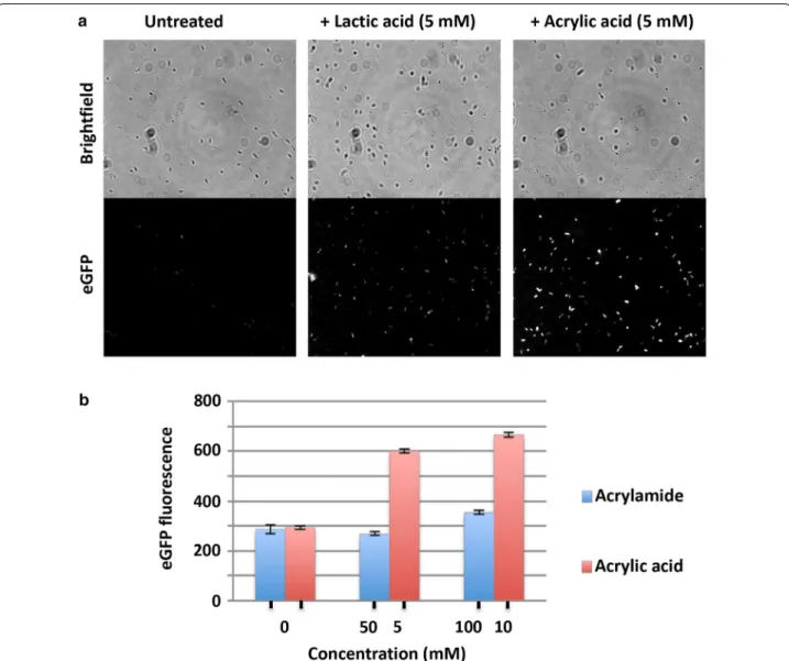 Fig. 4  a Cells expressing  P yHCN -eGFP sensor were treated as indicated for 6 h and imaged by fluorescence microscopy