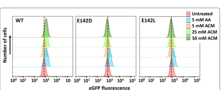 Fig. 6  FACS analysis indicating eGFP fluorescence of stably transduced E. coli   (P yHCN -eGFP) cells expressing RAPc8 amidase (WT) or the inactive  E142D and E142L mutants