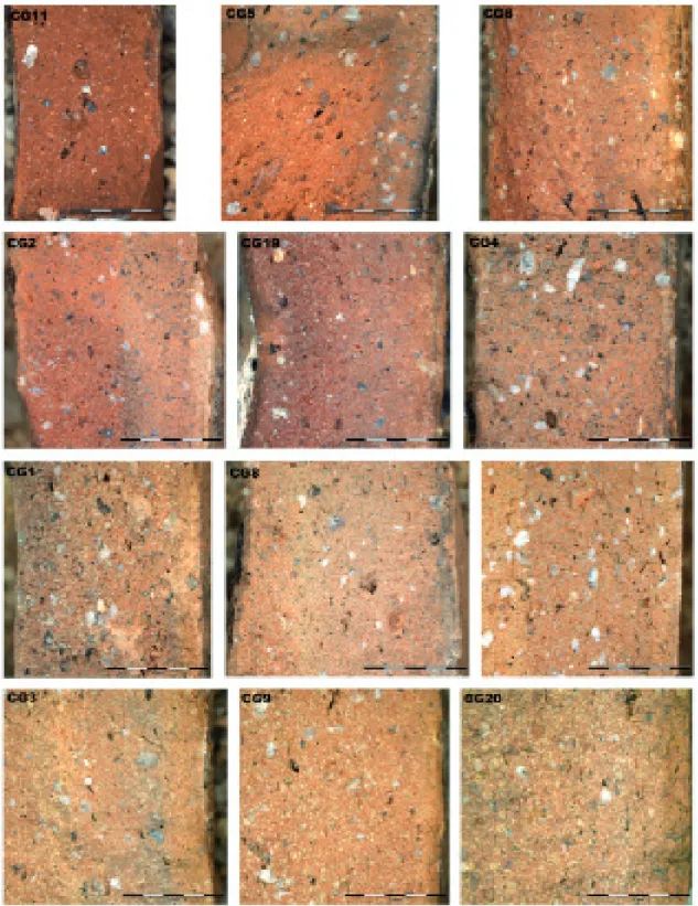 Figure 2 : Photographies des fractures fraîches de quelques exemplaires des amphores examinées au micro-stéréoscope, 10X (échelle : 5 mm).