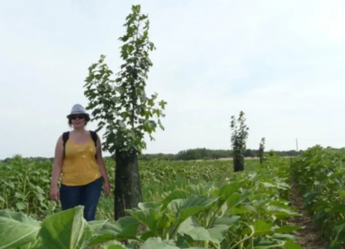 Figure 1 : Visite de parcelle agroforestière, Ile-Bouchard (juin 2017) 