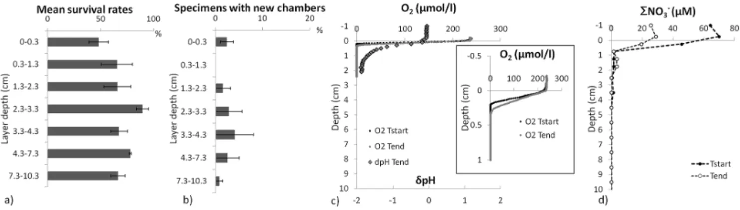 Figure 3. Main results of experiment 1 with Ammonia tepida. (a) Mean survival rates; (b) specimens that calcified new chambers; (c) oxygen and δpH profiles; (d) nitrate profiles