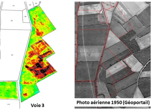 Figure  8  :  Zoom  sur  une  partie  du  domaine  de  Lusignan  (site  Les  verrines)