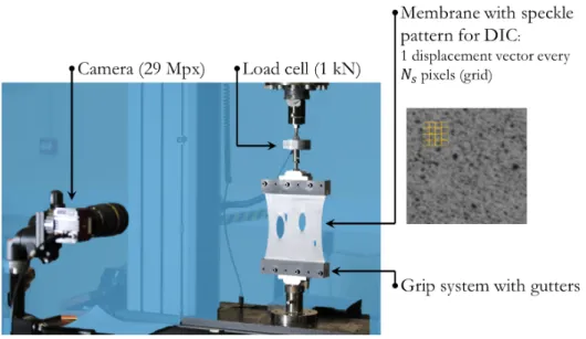 Figure 2: Experimental set-up: displacements are gathered with camera and DIC and force measurements with the load cell.