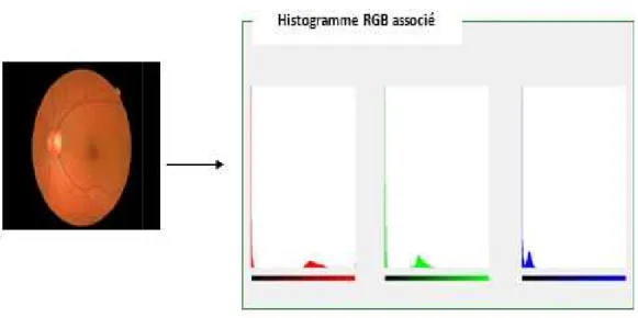 Figure III- 2:Histogramme couleur d'une image(RGB) 
