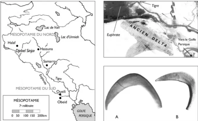 Fig.  21.  (à  gauche)  Carte  des  grandes  formations  culturelles  au  7 e   millénaire  (Halaf,  Hassuna,  Samarra  et  Obeid)