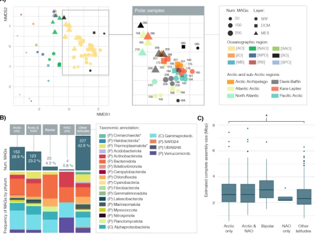 Figure 5. Composition and biogeography of the 530 Arctic microbial MAGs.  