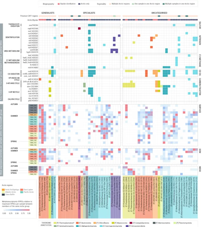 Figure 7: Expression patterns and metabolic potential of sentinel polar MAGs in the Arctic Ocean