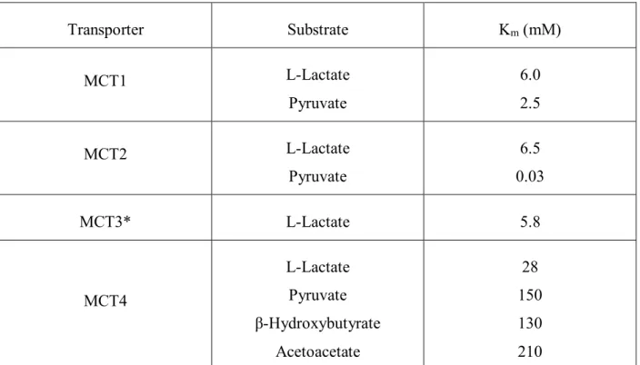 Table VI. Kinetic parameters of human MCT Transporter  Substrate  K m  (mM)  MCT1  L-Lactate  Pyruvate  6.0 2.5  MCT2  L-Lactate  Pyruvate  6.5  0.03  MCT3*  L-Lactate  5.8  MCT4  L-Lactate Pyruvate  β-Hydroxybutyrate  Acetoacetate  28  150 130 210 
