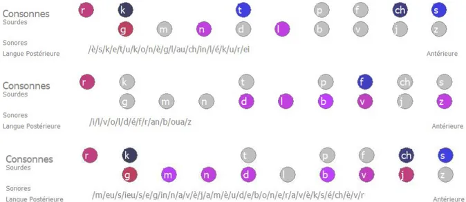 Figure 3 : Classification postérieure/antérieure des consonnes  Exemples 