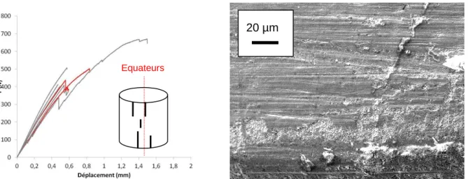 Figure 55 : Courbes de force-déplacement des essais interrompus sur gaine oxydée. 