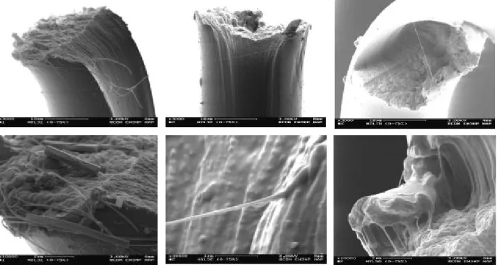 Fig. 4.26 Faciès de rupture des fibres PA66-A avec des macrofibrilles. 