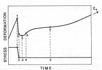 Fig. 2.6 – Courbe schématique de déformation en fonction du temps dans un essai de ﬂuage sous déchargement important (Hunsche, 1988).