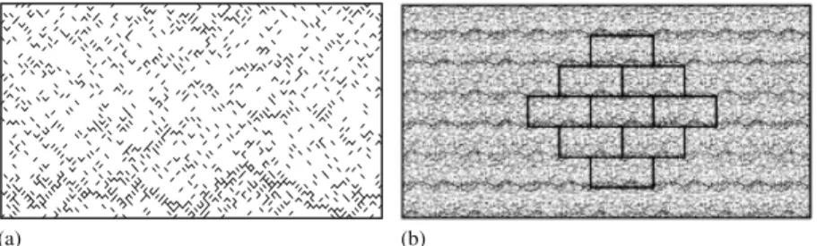 Figure 4. Lattice of size 64 just before collapse: (a) single cell; and (b) lattice cell duplicated according to the periodic boundary conditions.