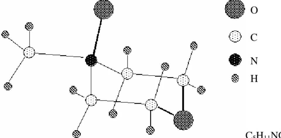 Figure  II.2 Configuration de la molécule de la N-méthylmorpholine-N-oxyde. 