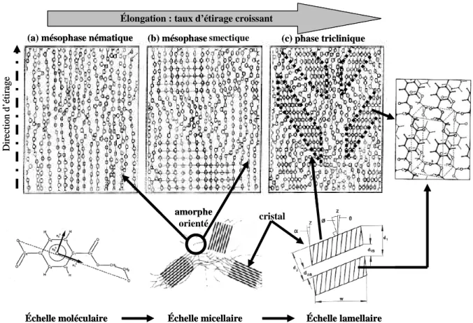 Figure I-22 : Schématisation de l’évolution de l’architecture  moléculaire du PET en cours d’étirage uni- uni-axial