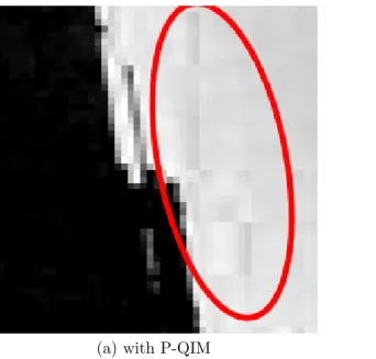 Figure 2. Part of image 1 from BOWS-2 data-base watermarked with a SSIM=98% and a payload=1/64; (a) with P-QIM;