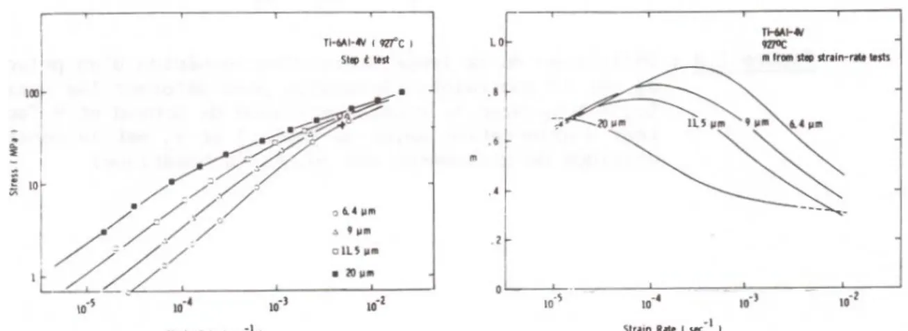 Figure I.11 :  Influence de la taille de grain sur la courbe contrainte/ 