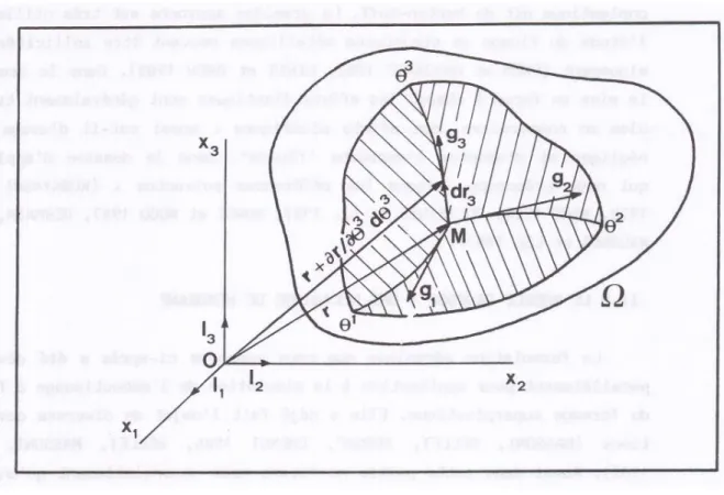 Figure II.1 : Coordonnées curvilignes 