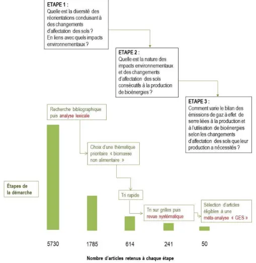 Figure 0-3. Etapes de la démarche de l’étude : réduction progressive du corpus étudié et analyses effectuées (en rouge) 