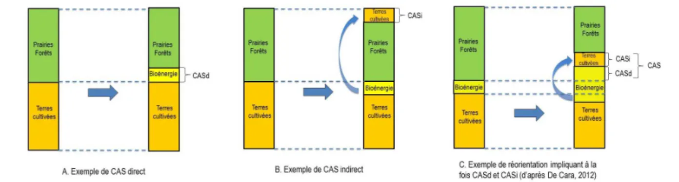 Figure 0-1. Représentation schématique d’exemples de réorientation d’une surface agricole ayant entrainé   un CAS direct (A), un CAS indirect (B), une combinaison de CAS direct et indirect (C) 