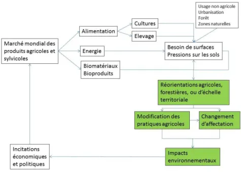 Figure 0-2. Schéma conceptuel des facteurs influant les changements d’affectation des sols 