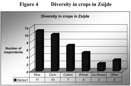 Figure 4  Diversity in crops in Zsijde 