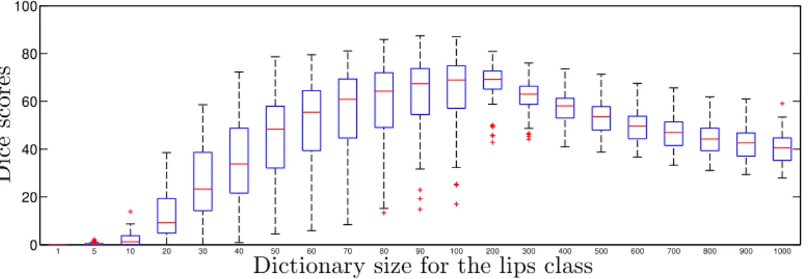 Figure 5.7: Dice scores for lips detection on training data, using SDL with a xed dictionary size of 1000 for the non-lips class and the dictionary sizes of 1 to 1000 for the lips class.
