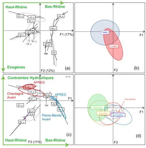 Fig. 3  –  Analyse  multivariée  des  peuplements  d'invertébrés  (100  taxons  les  plus  abondants,  cf