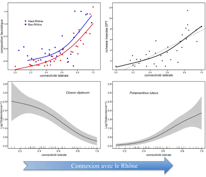 Figure  8  -  L’indice  de  connectivité  latérale  (axe  horizontal  des  4  graphiques)  est  une  combinaison  mathématique de 4 variables intégrant l’influence du fleuve sur les lônes : la teneur en matière organique du  sédiment, la diversité de la gr