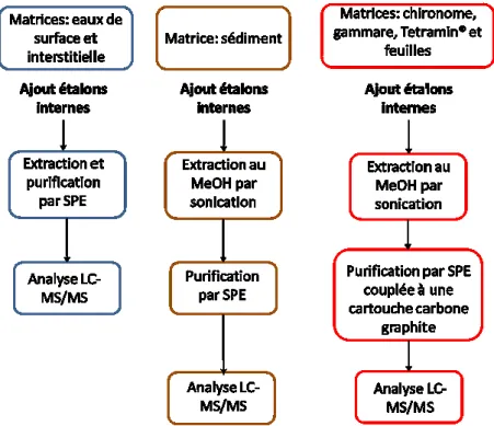 Figure 2 - Procédures d'analyse selon les différents types de matrice (d'après (Bertin, 2014b) 