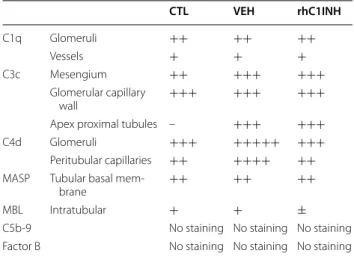 Table  1 Semi-quantitative evaluation of  complement  staining 30 min post-reperfusion