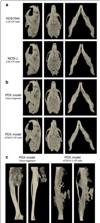 Fig. 4  Micro‑CT analysis of the xenogenic HOS1544 and syngenic  MOS‑J JOS models (a)