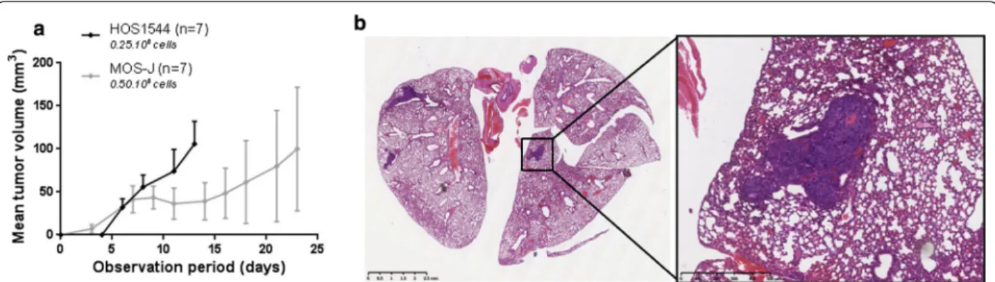Figure S1. Mean mandibular tumor volume over time, as a function of  tumor cell number injected in the xenogenic HOS1544 (A) or the syngenic  MOS‑J (B) models in NMRI‑nude or C57Bl/6 mice respectively.