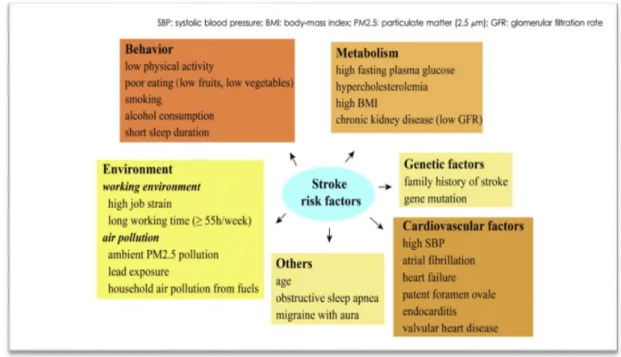 Figure 06 : Risk factors of stroke(Zhang et al., 2019 ). 