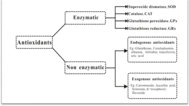 Figure 08 : Enzymatic and non-enzymatic classification of antioxidants  (Li et al., 2016)