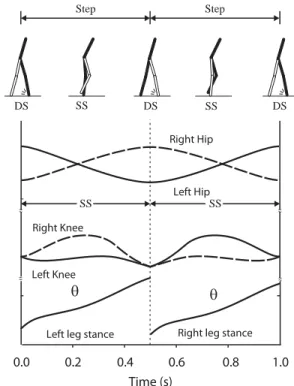 Fig. 6. Illustration of the concept of virtual constraints. De- De-picted are the relative knee and hip angles versus time for a planar, point-foot walker over a symmetric periodic gait.