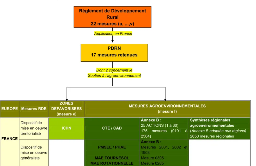 Figure 1 :   Le soutien à l’agroenvironnement dans le PDRN  EUROPE  Mesures RDR ZONES  DEFAVORISEES  (mesure e)  MESURES AGROENVIRONNEMENTALES (mesure f)  Dispositif de  mise en oeuvre  territorialisé 