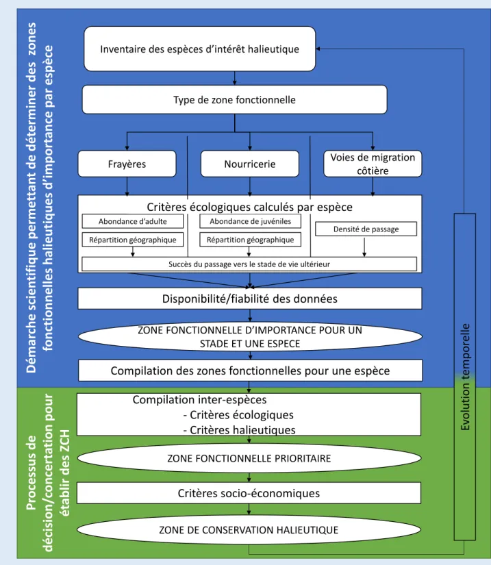 Figure 6 : Démarche proposée pour définir des zones fonctionnelles halieutiques importantes par espèce puis  les compiler pour identifier des zones prioritaires, afin établir des zones de conservation halieutiques.