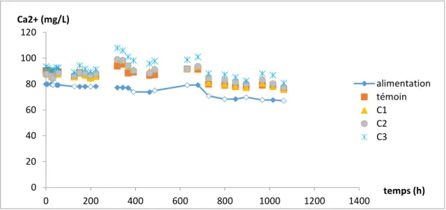 Figure 12 : évolution temporelle de la concentration de Ca 2+  en sortie des colonnes 