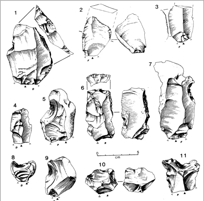 Fig. 11 : La Cotte de Saint-Brelade, niveau G : n° 1 couteau ; n° 2 et 3, raclette ; n° 4 et 6, troncature ; n° 5 et 7à  9, encoches ; n° 10 et 11 denticulés ; Callow et Cornford (Dir.) 1986
