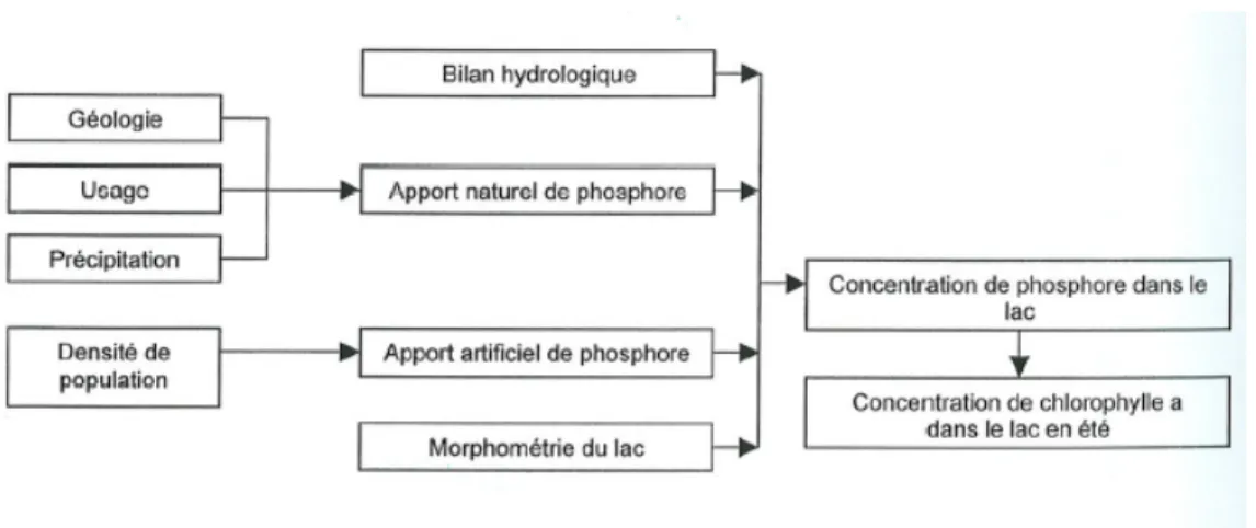 Figure 6 :  Représentation graphique du calcul d’apport de phosphore à un lac (Dessau Soprin inc.,  2006) 