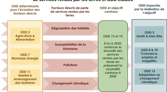 Figure 2. Objectif central du scénario, facteurs directs de perte de services rendus par les terres et ODD étudiés