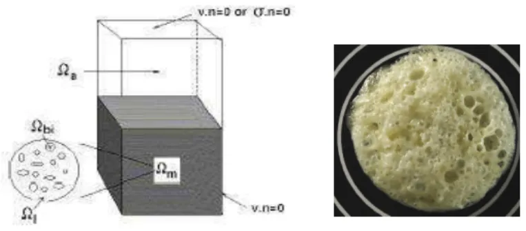 Fig. 1. left: Scheme of the mould containing PU mixture (gas+polymer, 8 m ) and the air (8 a) 
