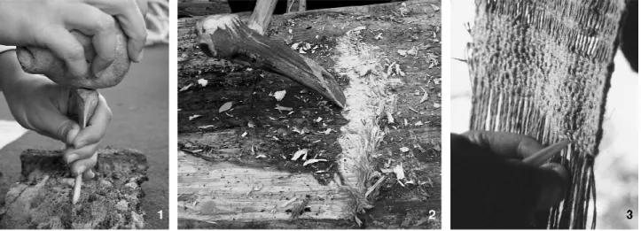 Fig. 1 - n° 1 : perforation de l’écorce avec un poinçon par percussion indirecte ; n° 2 : creuser du bois avec une hache en bois de cerf ; n° 3 : tasser des  fibres­végétales­avec­un­poinçon.­N os  1 et 3 : expérimentation et cliché a