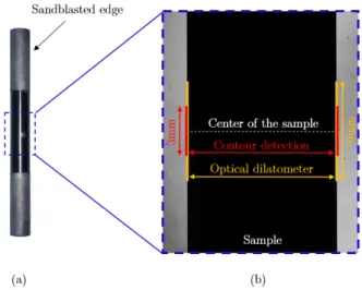 Figure 5: (a) Picture of a sample; (b) example of an image obtained with the high speed camera